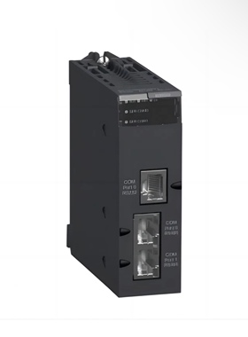 BMXNOM0200 Schneider Electric  Modicon X80 Serial links