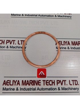 Ge Energy Nuovo Pignone SPX58402 Gasket