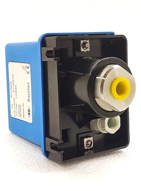 BOURDON HAENNI RP2YN846 压力开关 BAUMER RP2YN846