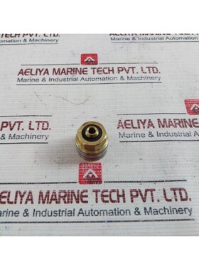 Acoplamiento De Pistón 6888/96V216