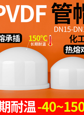戎生PVDF管帽封头管堵热熔承插对焊耐高温酸碱耐腐蚀塑料堵头管件