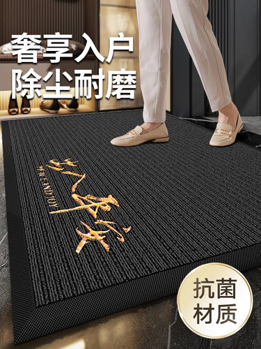 入门户地垫高级感进门防滑垫耐脏地毯门口玄关脚垫新款高端脚踏垫
