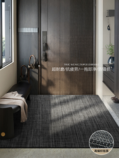 入户门地垫新款高级玄关耐脏免洗pvc客厅门垫门口家用可裁剪地毯