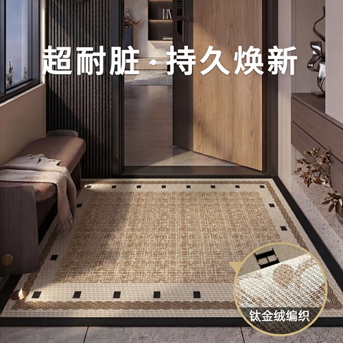 别墅排屋大门地垫入户门垫高级感耐脏地毯玄关客厅脚垫防滑可裁剪