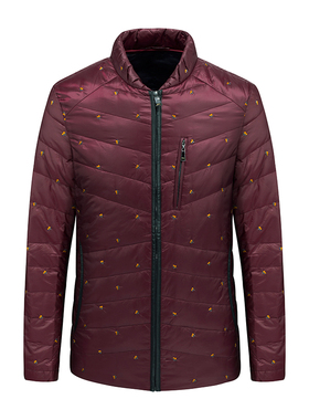 鸟家旗下男士立领羽绒服秋冬款青年白鸭绒枣红色时尚外套15505