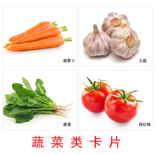 蔬菜类卡片 儿童认知名词卡片 英文闪卡