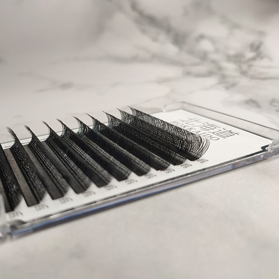 LD+y型嫁接睫毛超软L广角芭比翘YY毛不散根浓密长8-15mm哑光持久