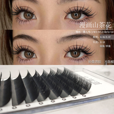 山茶花嫁接睫毛婴儿弯/LJ/LB/LC