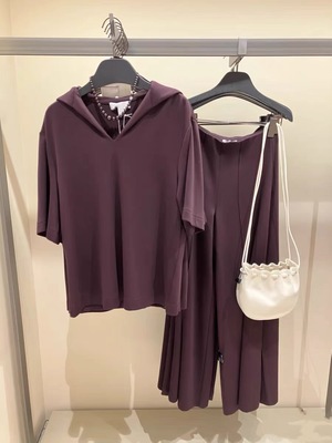 原 CS女裤通勤舒适莫代尔混纺弹力垂感阔腿裤秋季新品