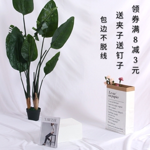ins白布摄影拍照道具直播背景布