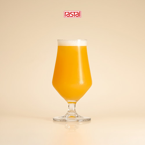 德国Rastal品酒杯精酿啤酒杯