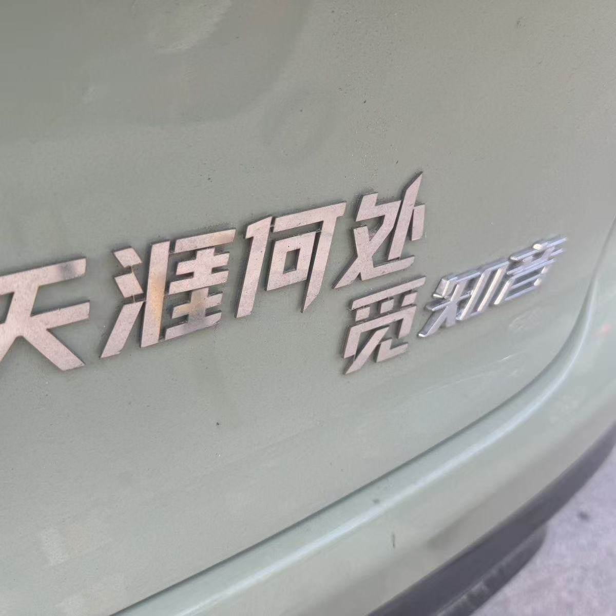 岚图知音不锈钢定制车尾车标