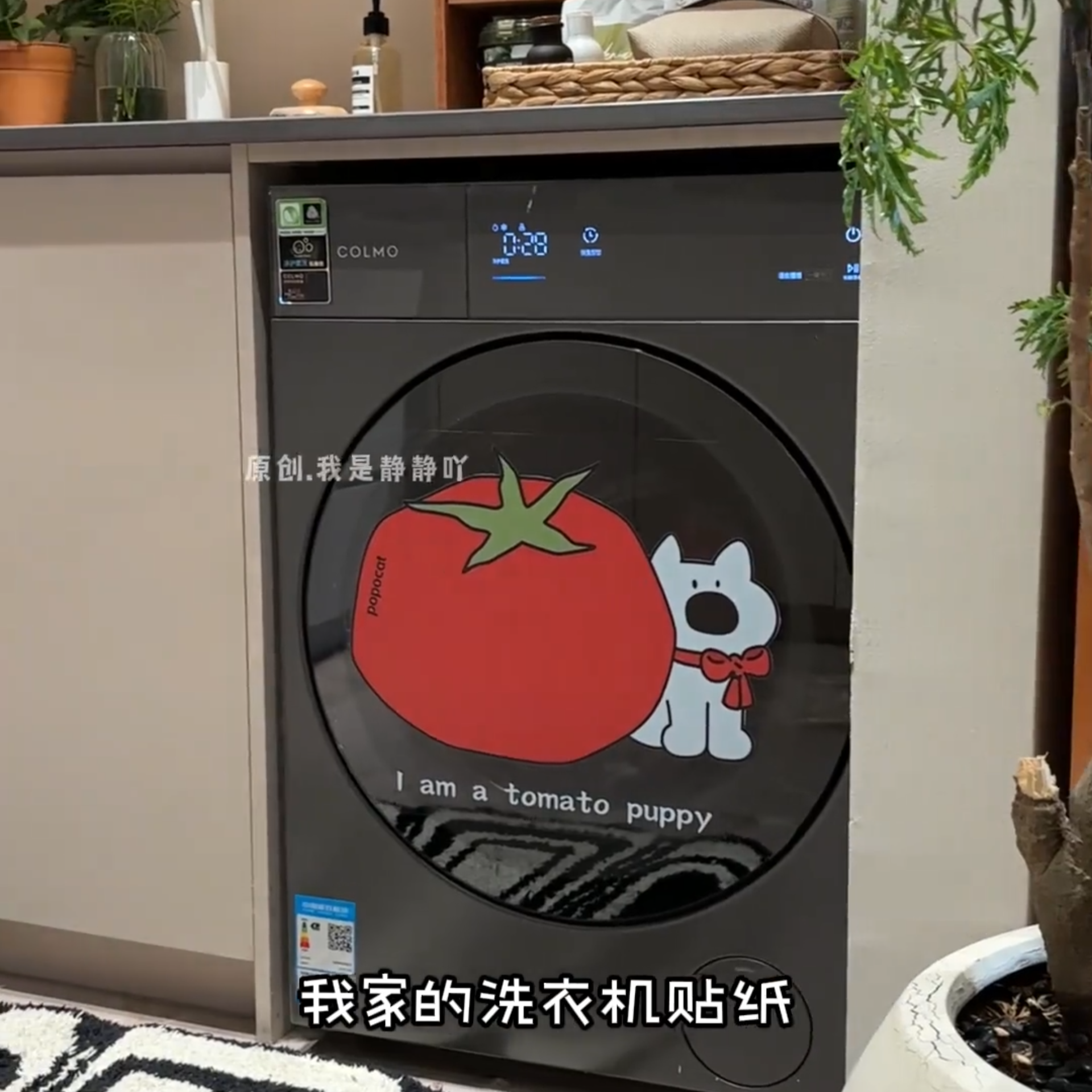 品牌滚筒洗衣机门贴纸新款静电玻璃贴画浴室好物滚筒洗衣机贴纸静