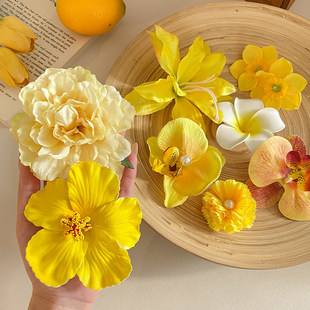 Hair Flower Clip Clips Hawaiian Plumeria Beach Flowers Claw