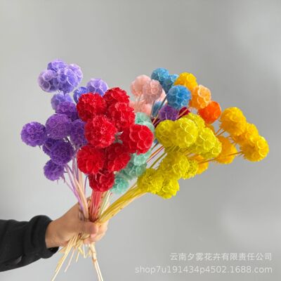 500/600 Pieces Pipe Cleaners Chenille Stems 12 Inch Craft Su