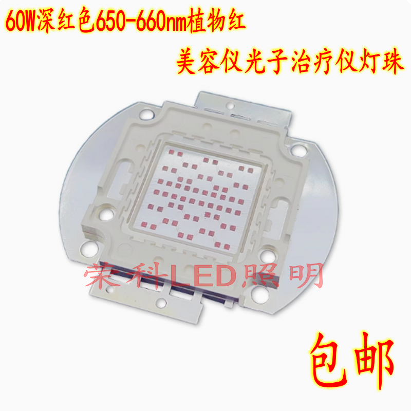 植物红美容仪光子治疗仪光源60W