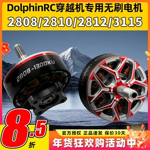 DolphinRC无刷电机2808 2810负载马达2812 3115穿越机专用电机6S