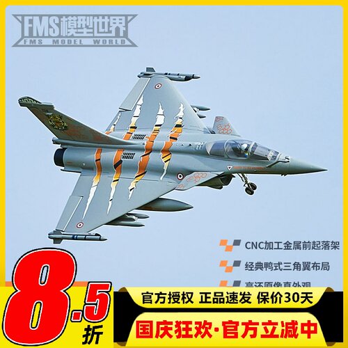 FMS64mm阵风像真航模固定翼模型