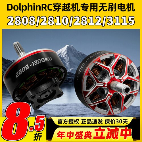 DolphinRC无刷电机2808 2810负载马达2812 3115穿越机专用电机6S
