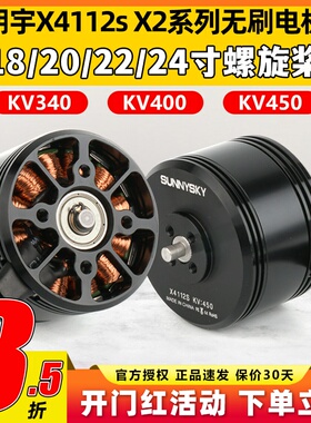 SUNNYSKY郎宇朗宇X4112S V2无刷电机无人机动力KV450 KV400 KV340