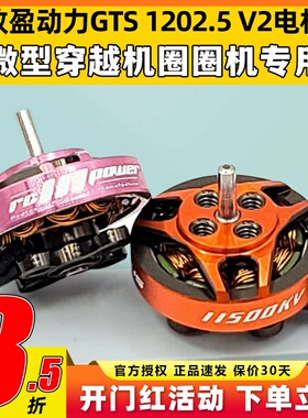 致盈动力GTS V2 1202.5无刷电机1s2s圈圈机室内穿越机竞速马达