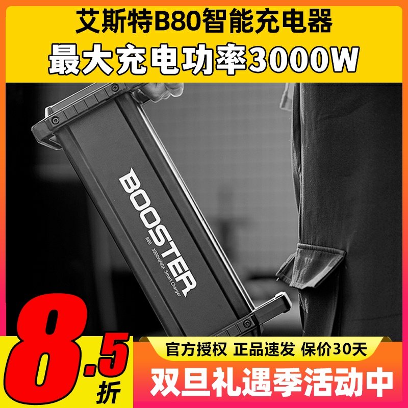 艾斯特3000w40A80VB80充电器
