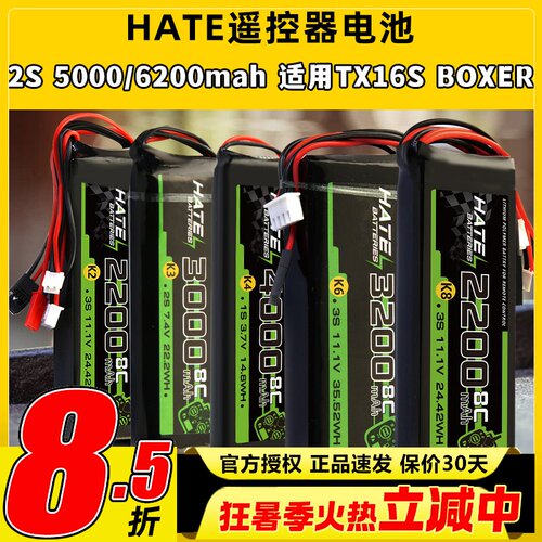 HATE航模控电遥控器电池乐迪AT9Spro迈克天地飞9锂电池1s2s3s控电