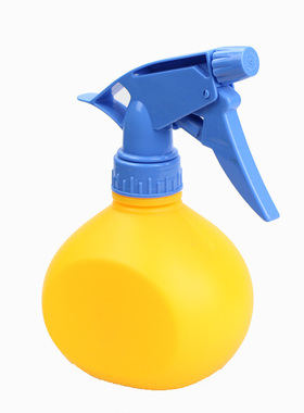 夏日戏水玩具儿童水枪喷雾器水雾降温浇花迷你喷壶宝宝玩具小礼品