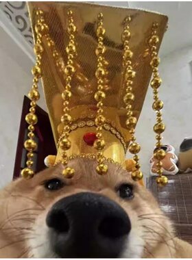 柴犬皇帝帽子皇上驾到创意猫狗搞笑皇帝头套古代九五之尊头饰配饰