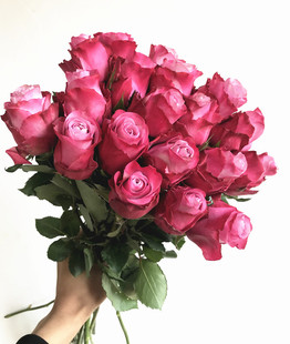 魅影灌木月季切花玫瑰花苗大花四季开花庭院阳台盆栽植物