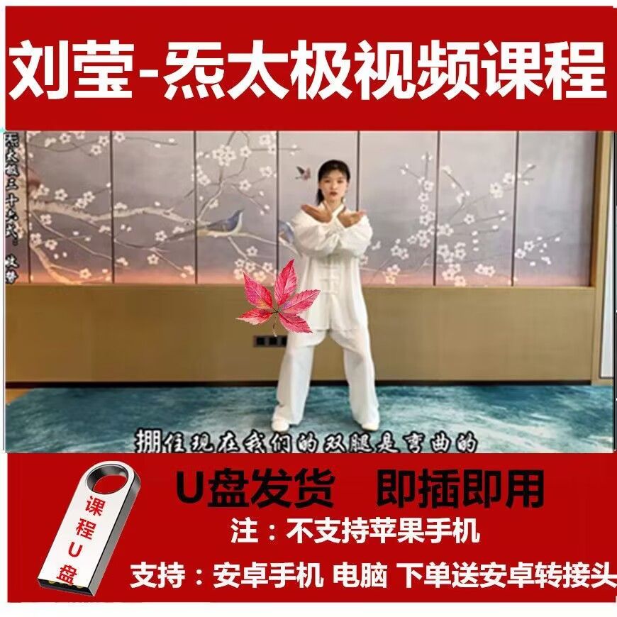 刘莹炁太极拳视频课程全套U盘 太极拳内家基桩课程优盘太极拳自学