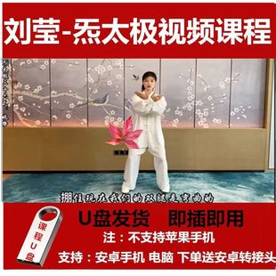 刘莹炁太极拳视频课程全套U盘 太极拳内家基桩课程优盘太极拳自学