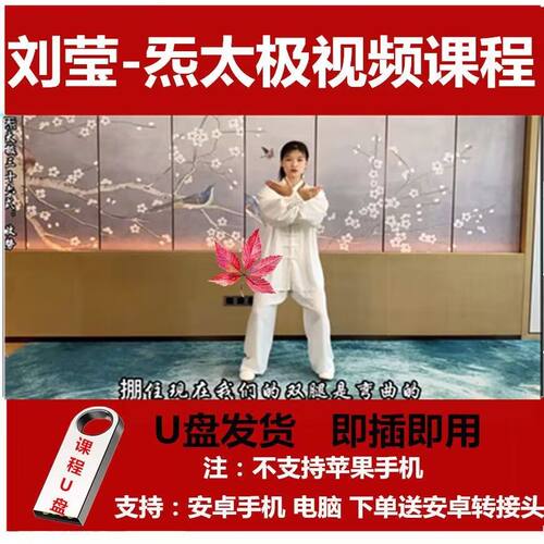 刘莹炁太极拳视频课程全套U盘 太极拳内家基桩课程优盘太极拳自学
