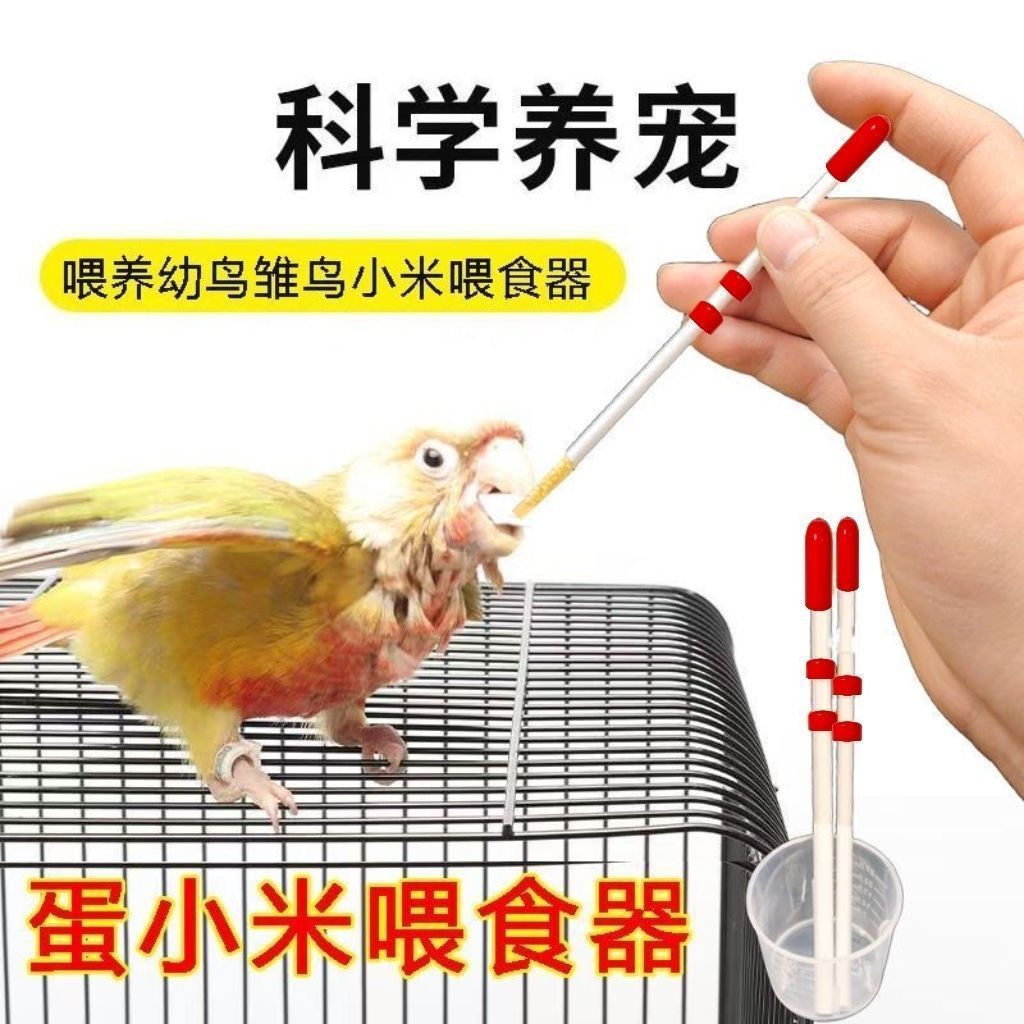 出壳零天手养鸡雏喂食器防潮图片