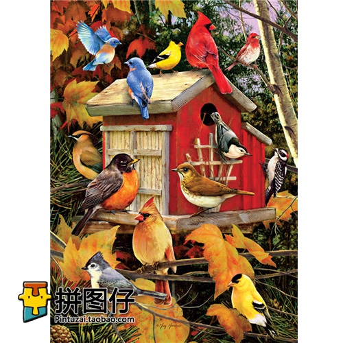 特价包邮 加拿大Cobble Hill 1000片 51803 进口拼图 秋天的鸟儿