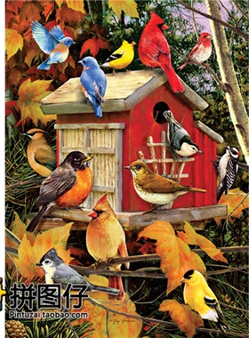 特价包邮 加拿大Cobble Hill 1000片 51803 进口拼图 秋天的鸟儿
