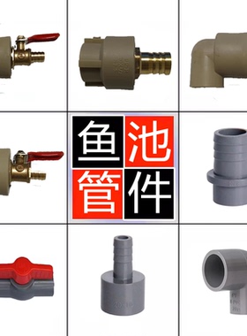 鱼池预埋热熔管道PPR管件pvc转换头铜头宝塔阀门4分管20三通直通