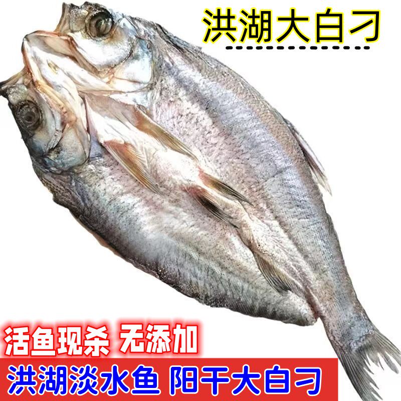 阳干翘嘴鱼风干洪湖大白刁