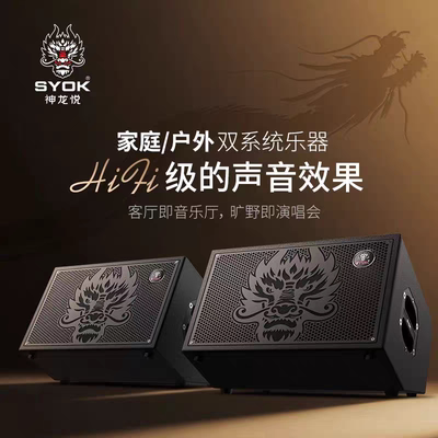SYOK神龙S10对箱1000w功率超大功率户外舞台路演卖唱乐器吉他弹唱