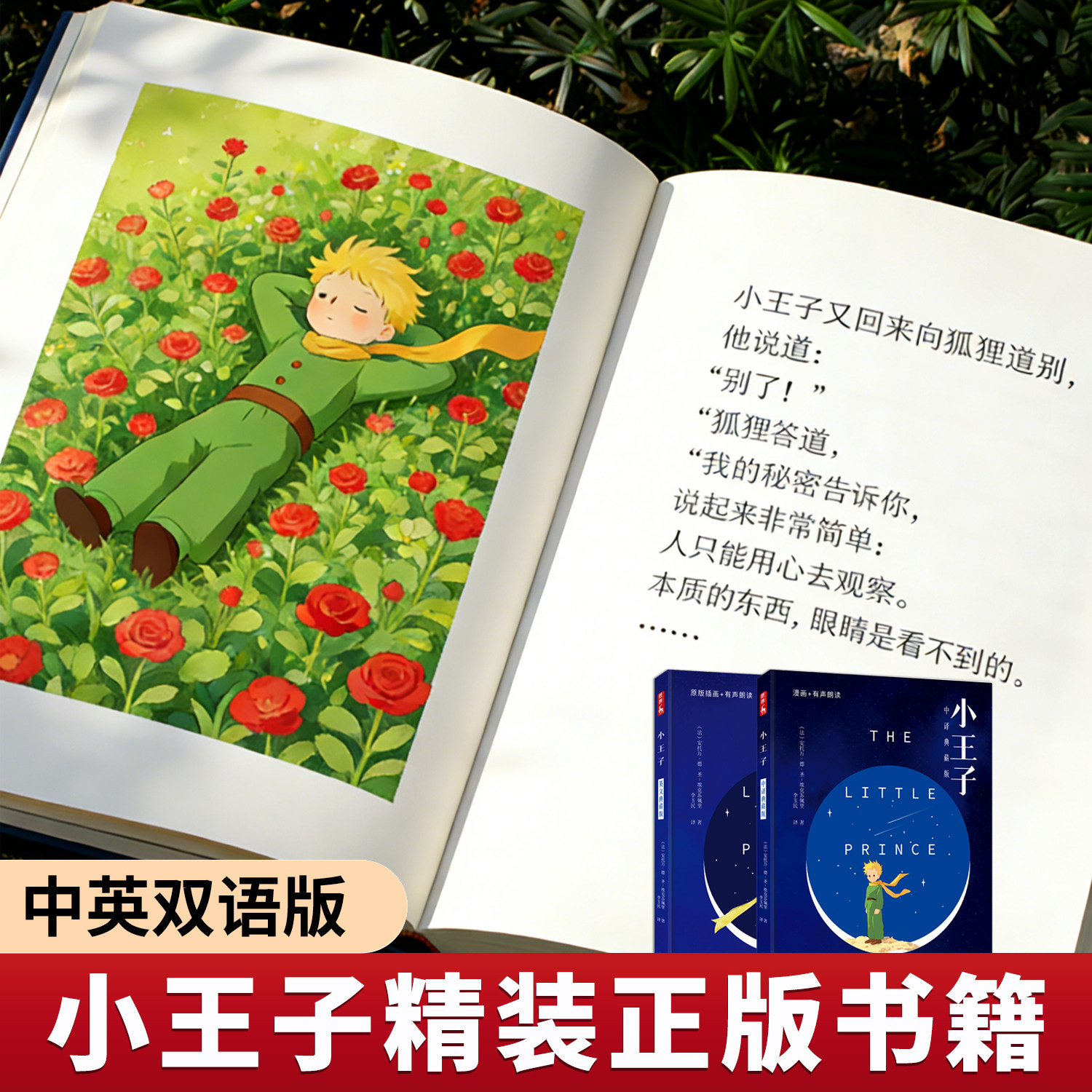 【精装硬壳】小王子正版书籍  中英文双语版珍藏原版插画圣埃克苏佩里著 英文原版李玉民直译中文版 青少年版小学生小王子书正版