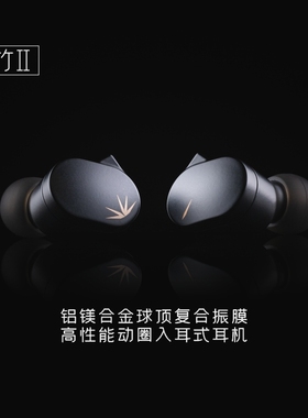 水月雨竹2 DSP解码可换线HiFi带麦可调音3.5/TypeC有线耳机