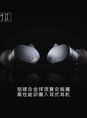 水月雨竹2 DSP解码可换线HiFi带麦可调音3.5/TypeC有线耳机