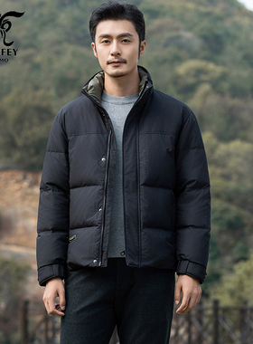 龙达飞新品【专柜同款】青年男士冬季简约厚款立领羽绒服DT16618