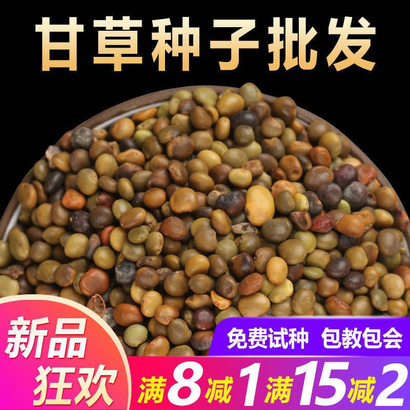 散装甘草种子新疆红皮甘草种籽500g四季种植中药材还有枸杞桔梗籽