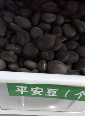 平安豆菩提子龙豆罗汉豆散珠子原籽天然植物种子九龙藤种子中药材