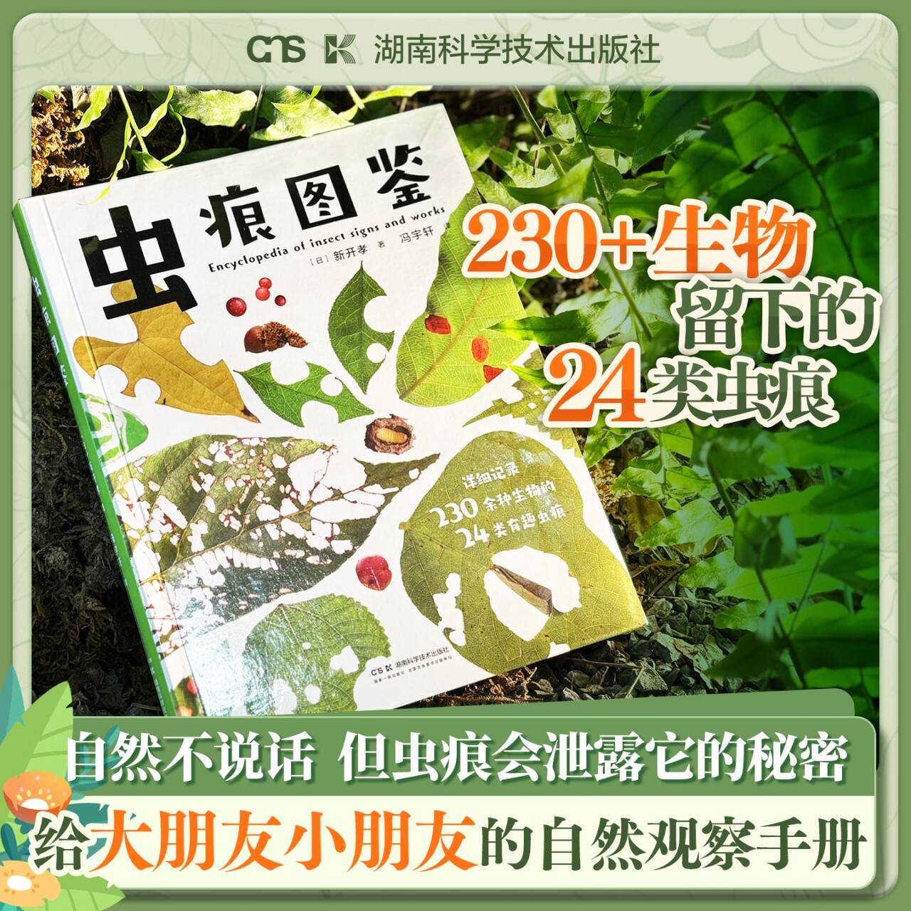 【小红书同款】虫痕图鉴  日本知名昆虫学家新开孝新作 自然教育家庭教育亲子课外读物 亲子出游指南自然书籍  湖南科学技术出版社
