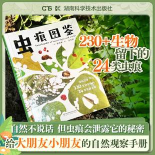 【小红书同款】虫痕图鉴 日本知名昆虫学家新开孝新作 自然教育家庭教育亲子课外读物 亲子出游指南自然书籍 湖南科学技术出版社