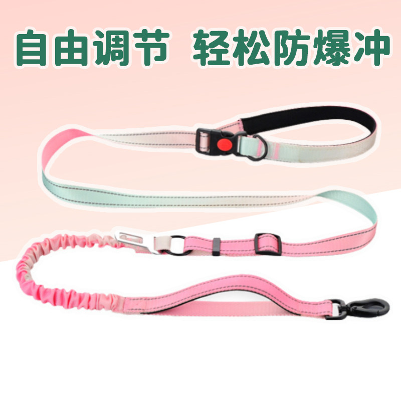 狗狗渐变彩色牵引绳弹力伸缩设计多功能斜跨遛狗绳户外防爆冲狗绳,宠物/宠物食品及用品,狗牵引绳,淘宝优惠券,粉丝福利购,淘宝优惠卷