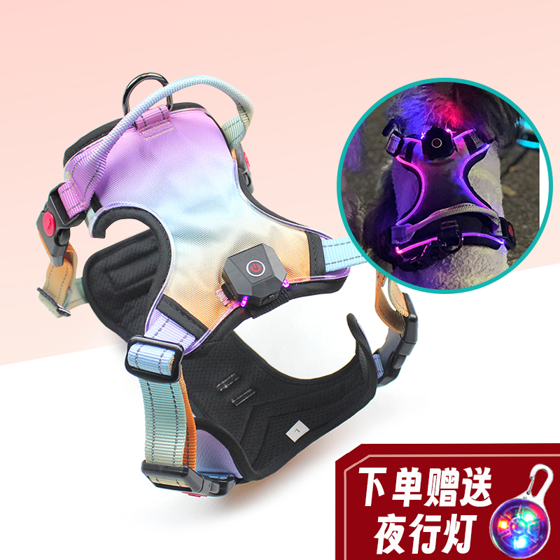 LED发光夜间遛狗牵引胸背带渐变