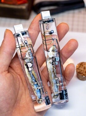 豆记 Creema minne日本手工定制 炼金术师的咸鱼U盘128G创意礼物